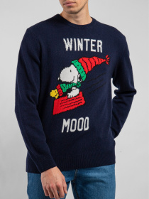 Джемпер MC2 SAINT BARTH модель HER0001.SNSL61 Фото