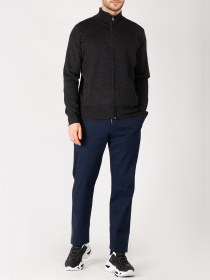 Чиносы Harmont&Blaine модель WRE300053021_801 Фото