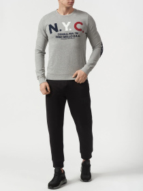 Свитшот Fred Mello модель FM20W09FG_GREY Свитшот Fred Mello модель FM20W09FG_GREY Фото