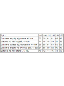 Костюм Носи своє модель 6410-057-goluba-blakitx Фото