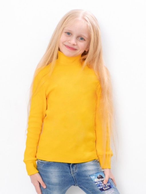 Водолазка Носи своє модель 6068-019-burshtin Фото