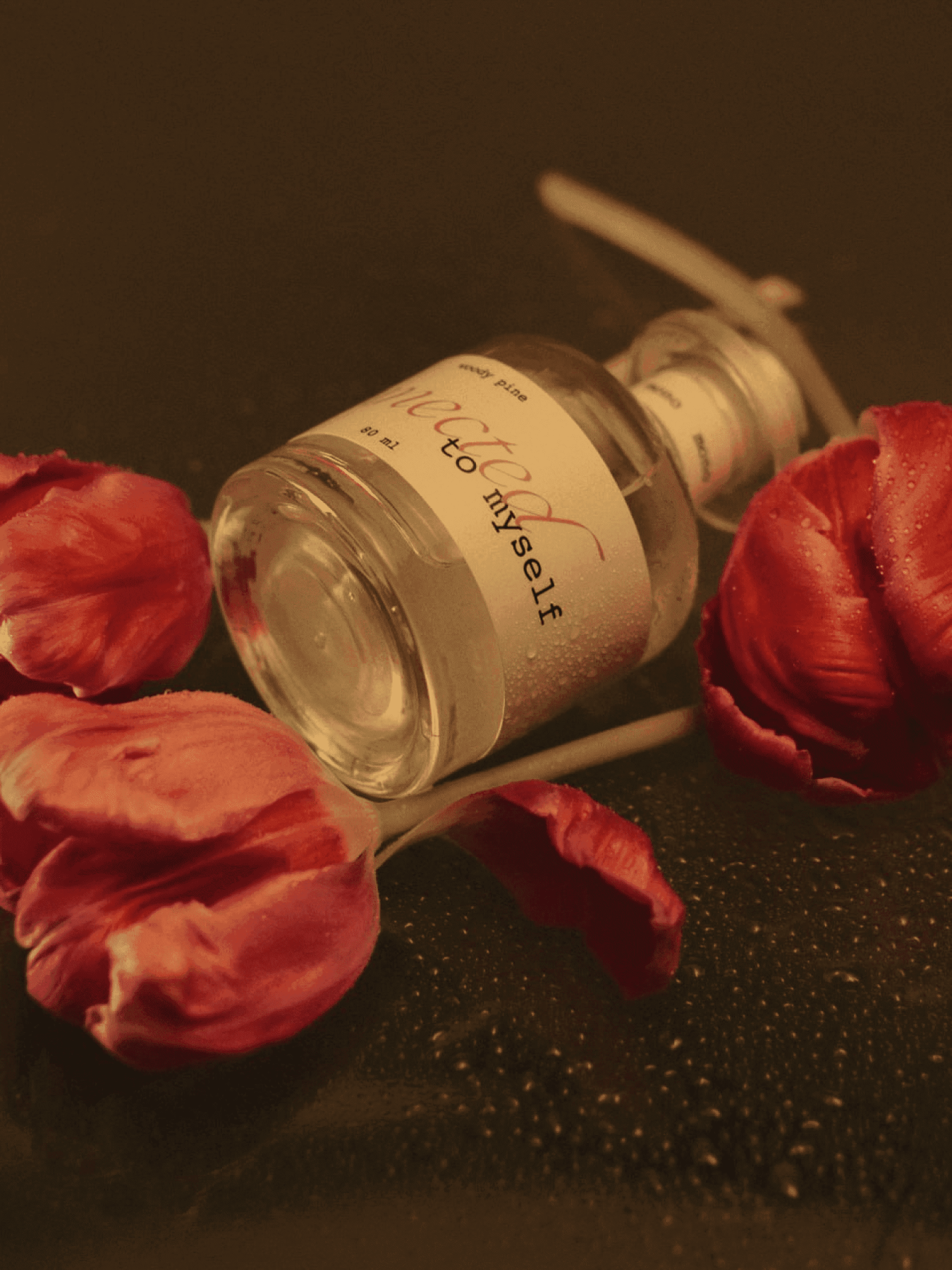 CONNECTED Diffuser Lotused модель 112032 Фото