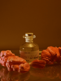 CONNECTED Diffuser Lotused модель 112032 Фото