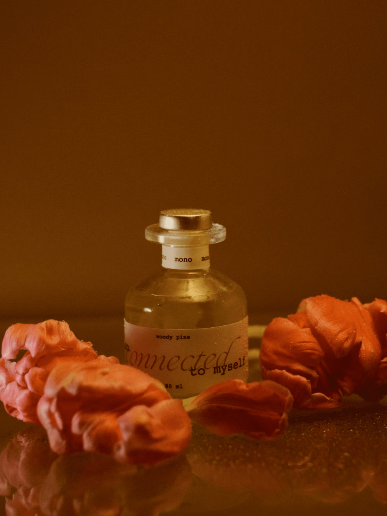 Дифузор CONNECTED Lotused модель 112032 Фото