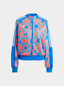Худи и свитшоты Adidas модель IQ4496 Фото