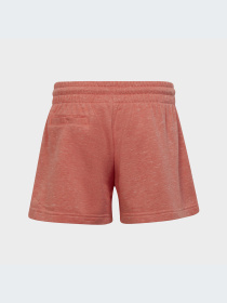 Повседневные шорты Adidas Культовые силуэты модель IC0104 Фото