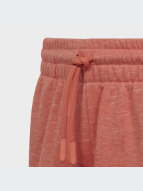 Повседневные шорты Adidas Культовые силуэты модель IC0104 Фото