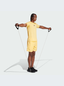 Шорты спортивные Adidas модель IR9249 Фото