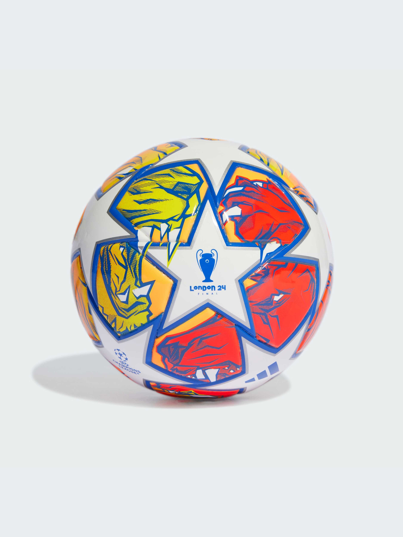 М'ячі Adidas модель IN9337 Фото