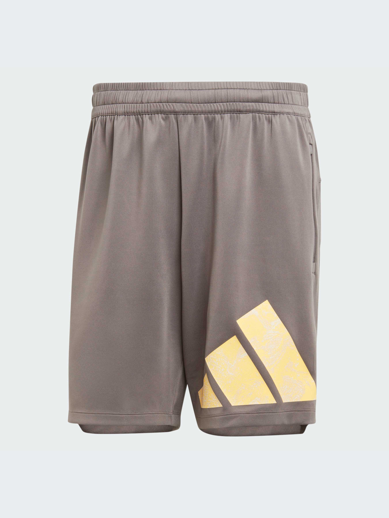 Спортивні шорти Adidas модель IS3798 Фото