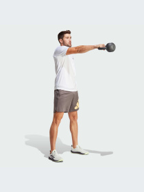 Спортивні шорти Adidas модель IS3798 Фото