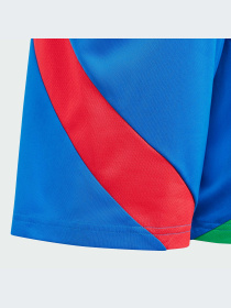 Шорти спортивні Adidas модель IQ0483 Фото