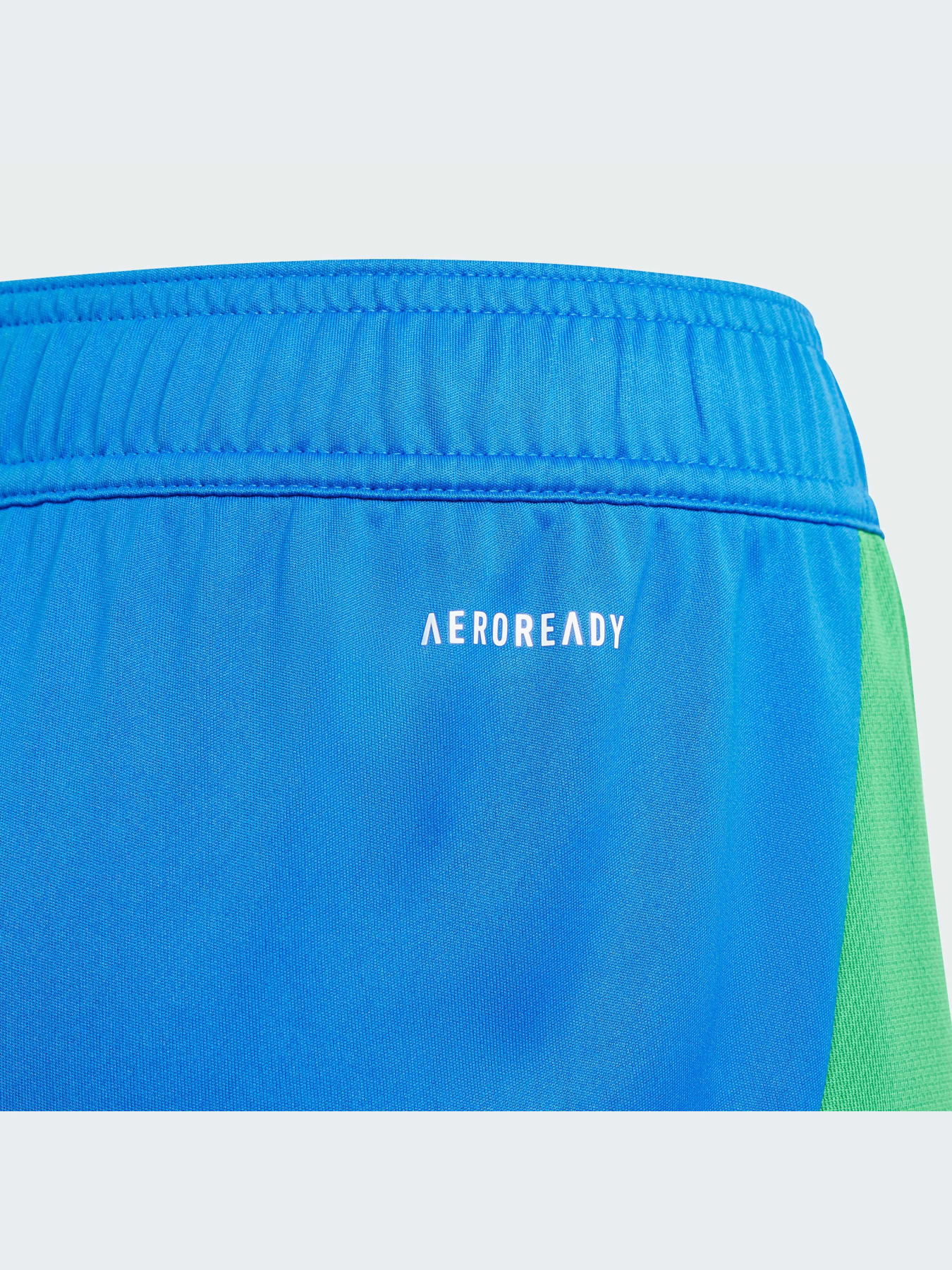 Спортивні шорти Adidas модель IQ0483 Фото