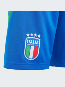 Спортивні шорти Adidas модель IQ0483 Фото