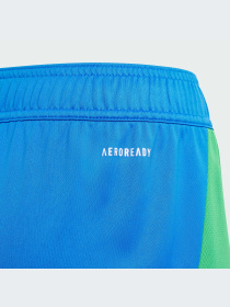 Спортивні шорти Adidas модель IQ0483 Фото