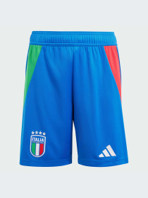 Спортивні шорти Adidas модель IQ0483 Фото