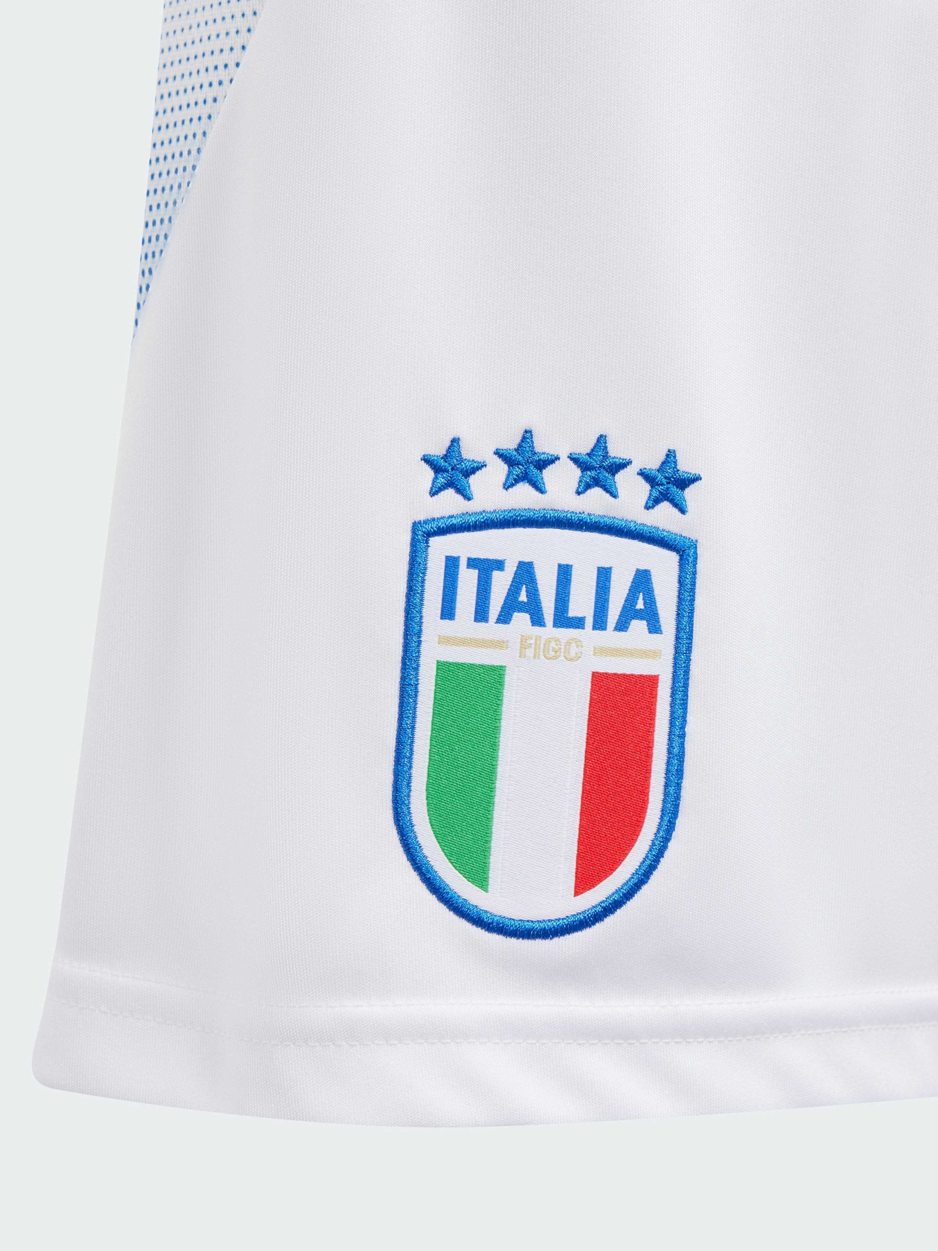 Шорты спортивные Adidas модель IS7276 Фото