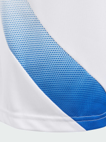 Шорты спортивные Adidas модель IS7276 Фото