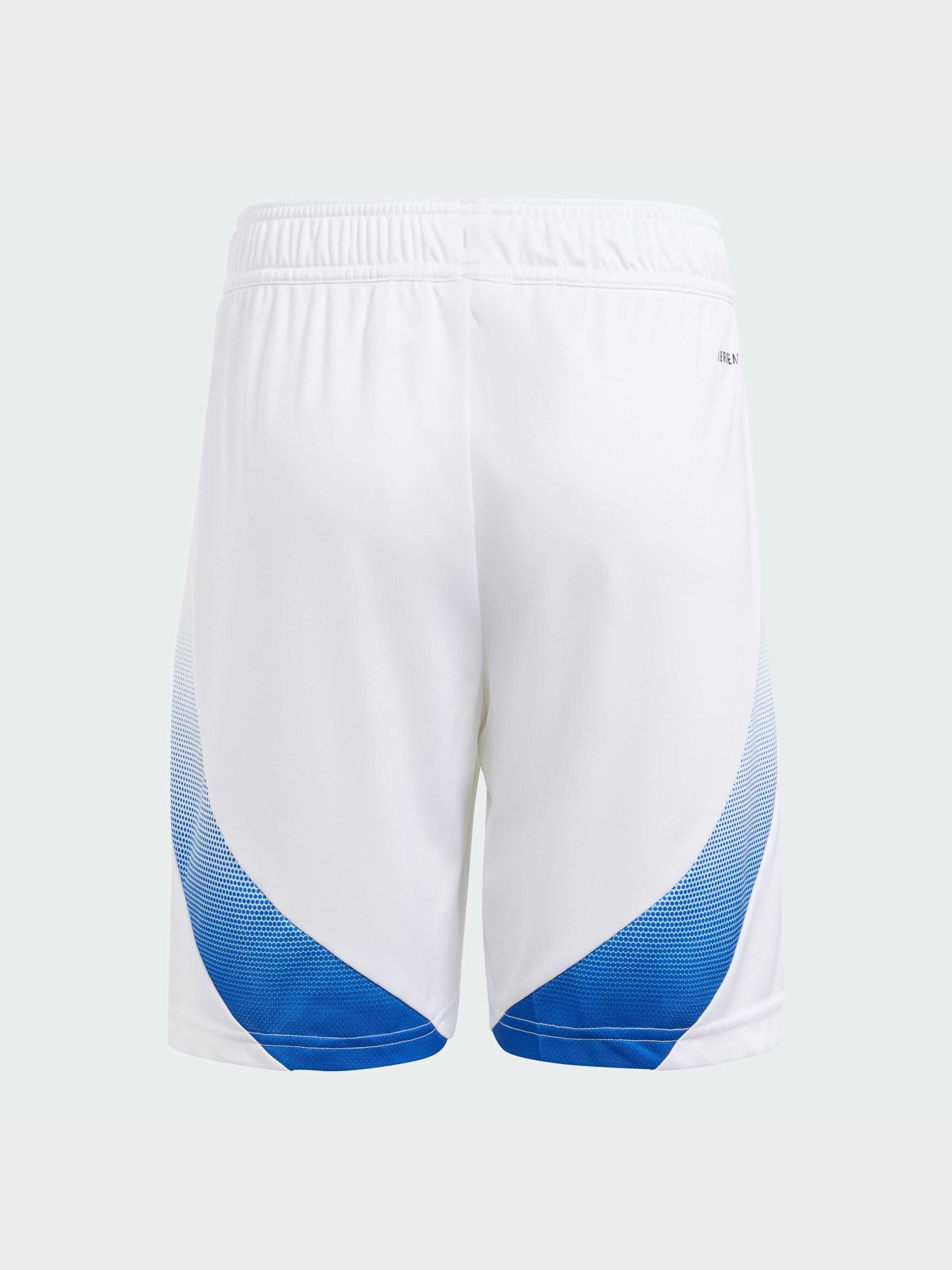 Шорты спортивные Adidas модель IS7276 Фото