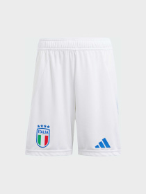 Шорты спортивные Adidas модель IS7276 Фото