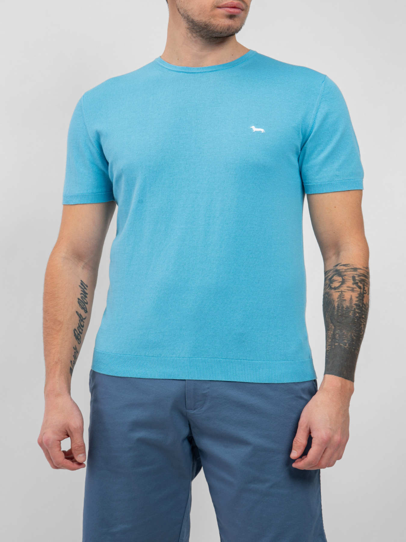 Футболка Harmont&Blaine модель HRL239030728_849 Фото