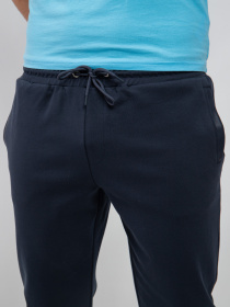 Повседневные штаны Harmont&Blaine модель FRL159021168_801 Фото