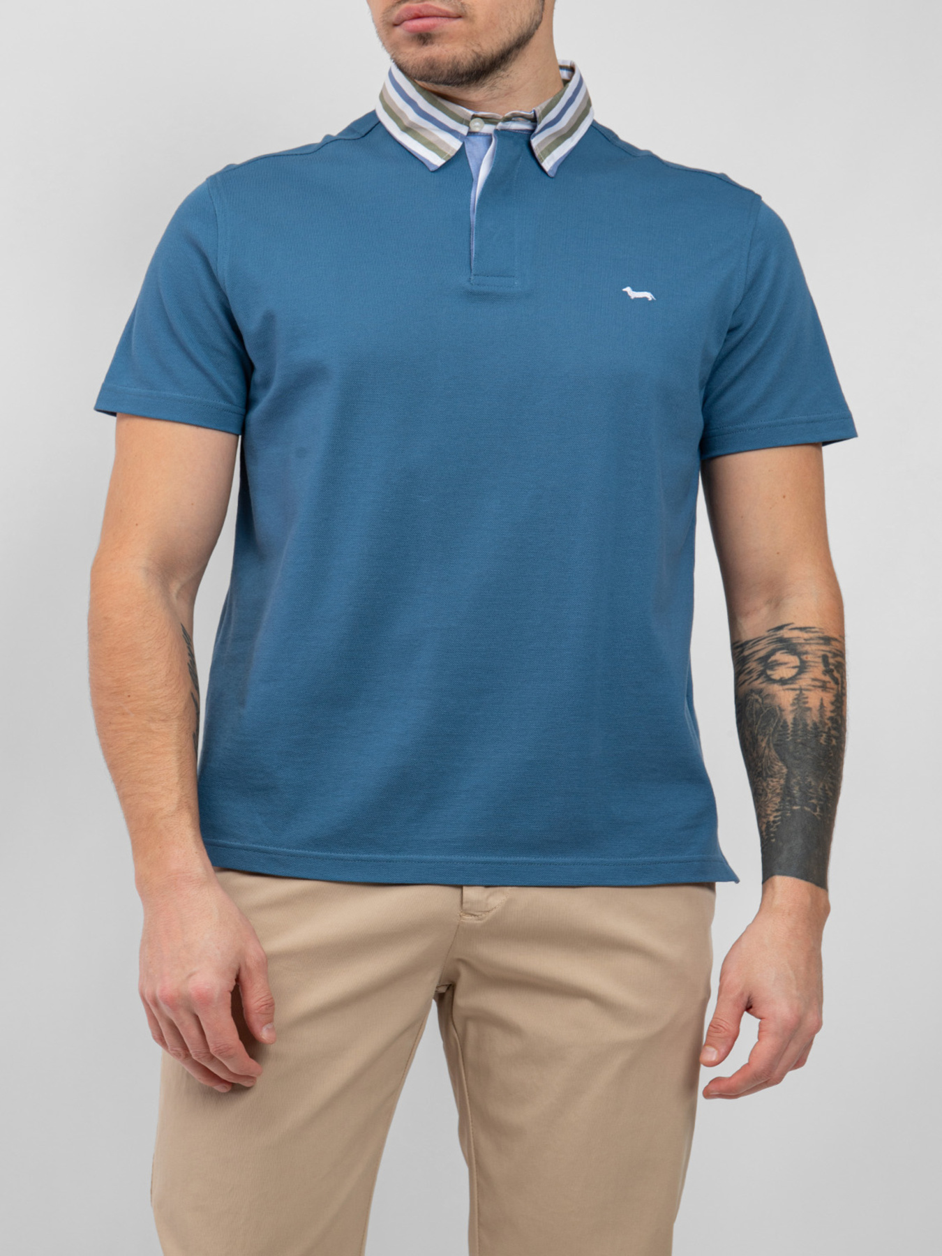 Поло Harmont&Blaine модель LRL003020004S15_856 Фото