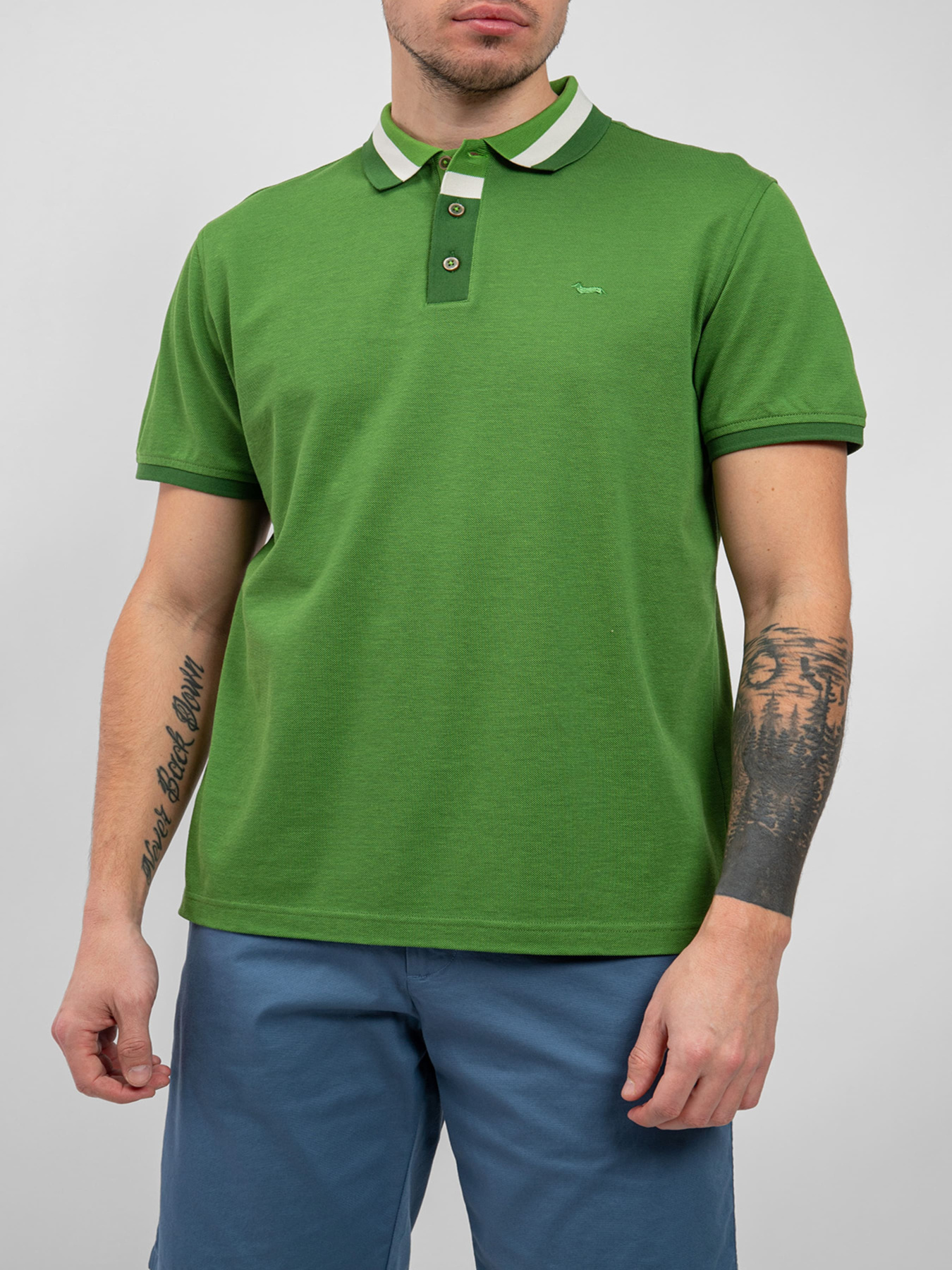 Поло Harmont&Blaine модель LRL371021744_600 Фото