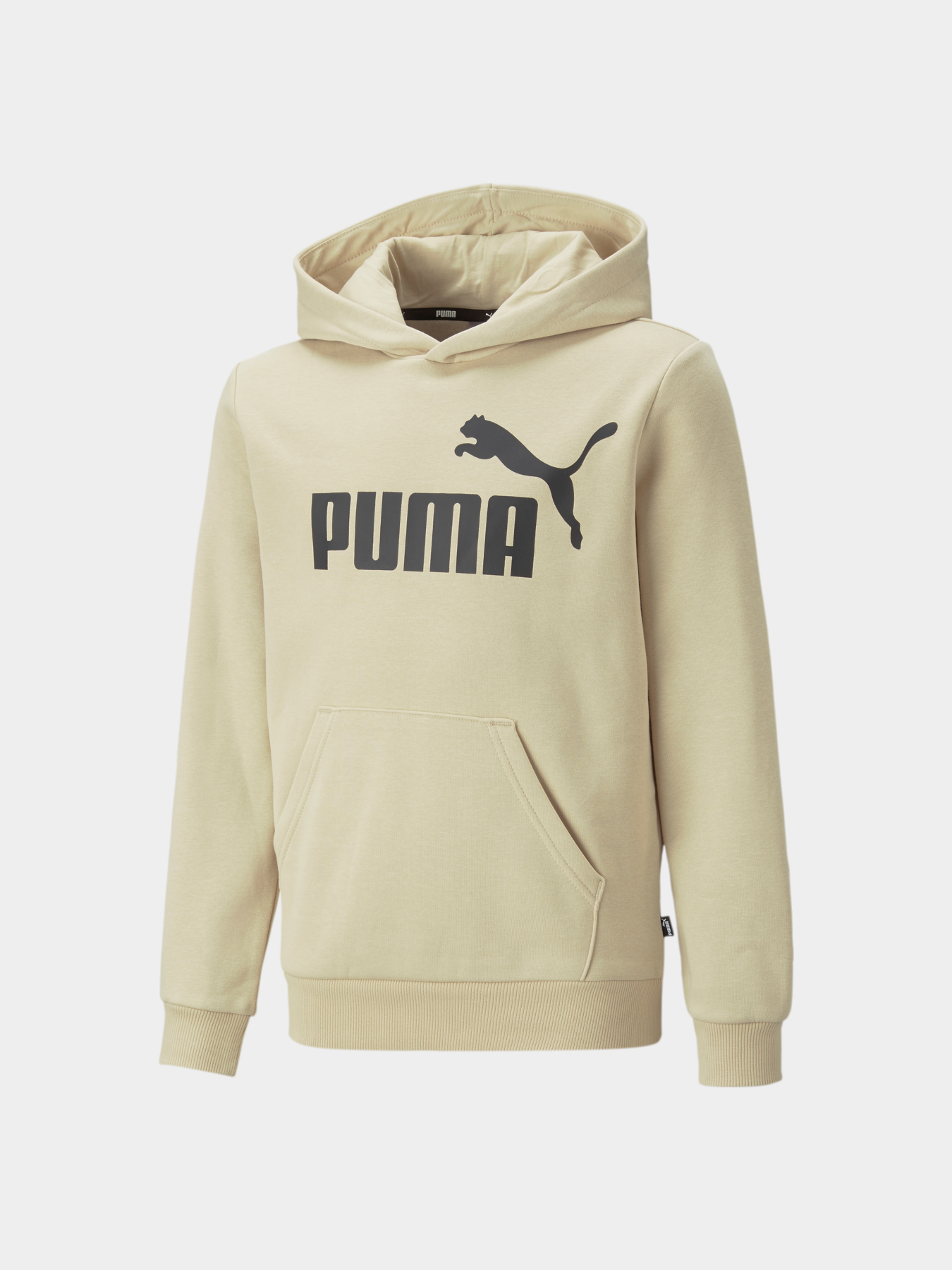 Худи PUMA Ess Big Logo Hoodie модель 586965 Фото