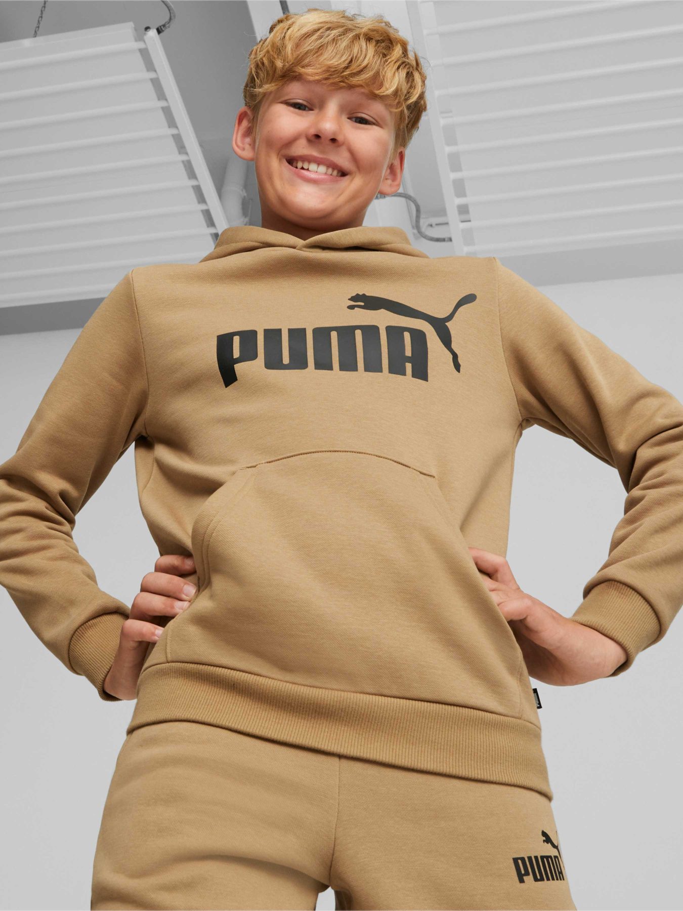 Худи PUMA Ess Big Logo Hoodie модель 586965 Фото