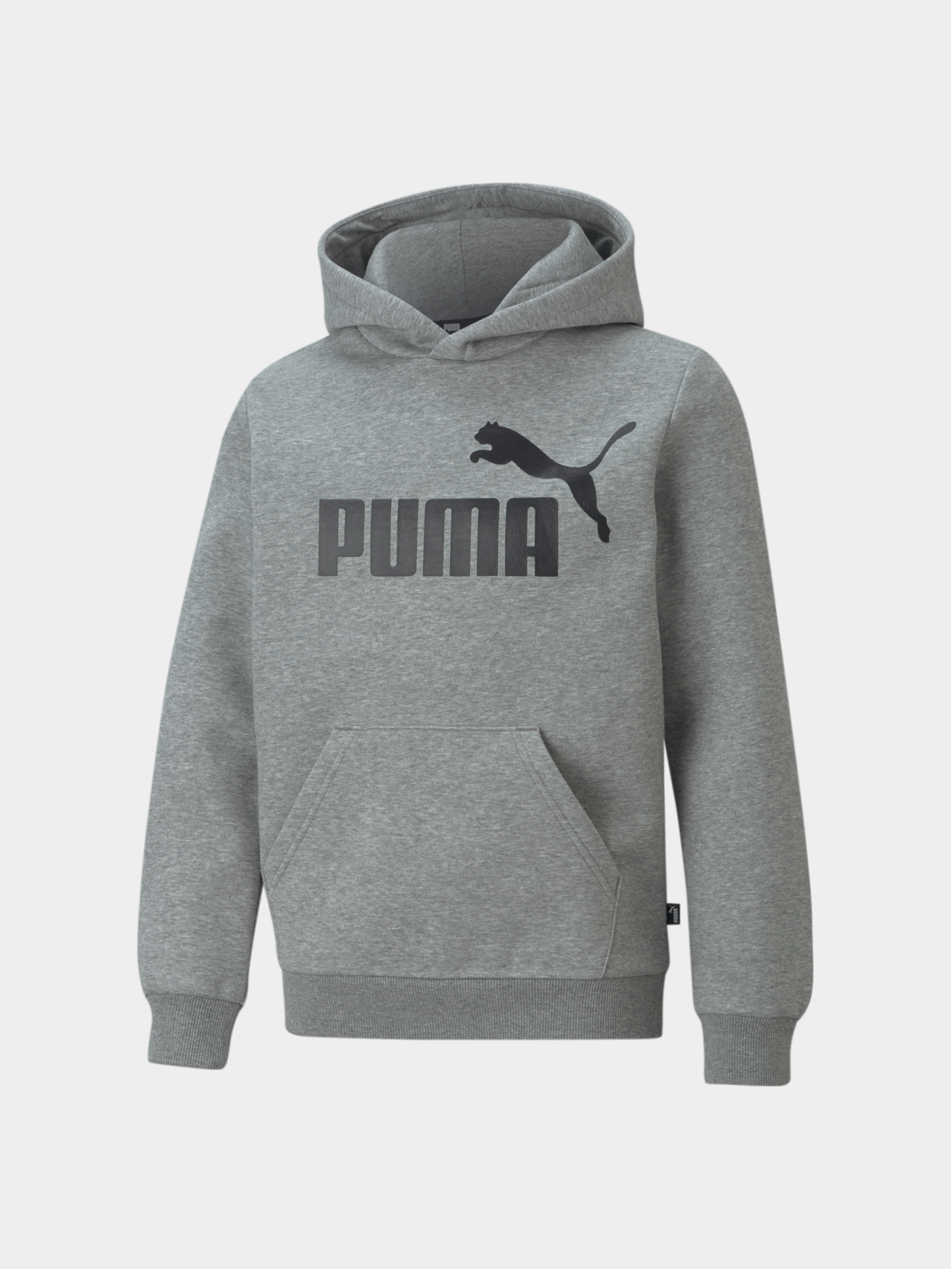 Худи PUMA Ess Big Logo Hoodie модель 586965 Фото