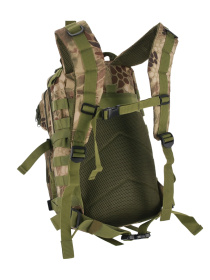 Рюкзак Protectonic модель 31-41879(JS008)-CAM Фото