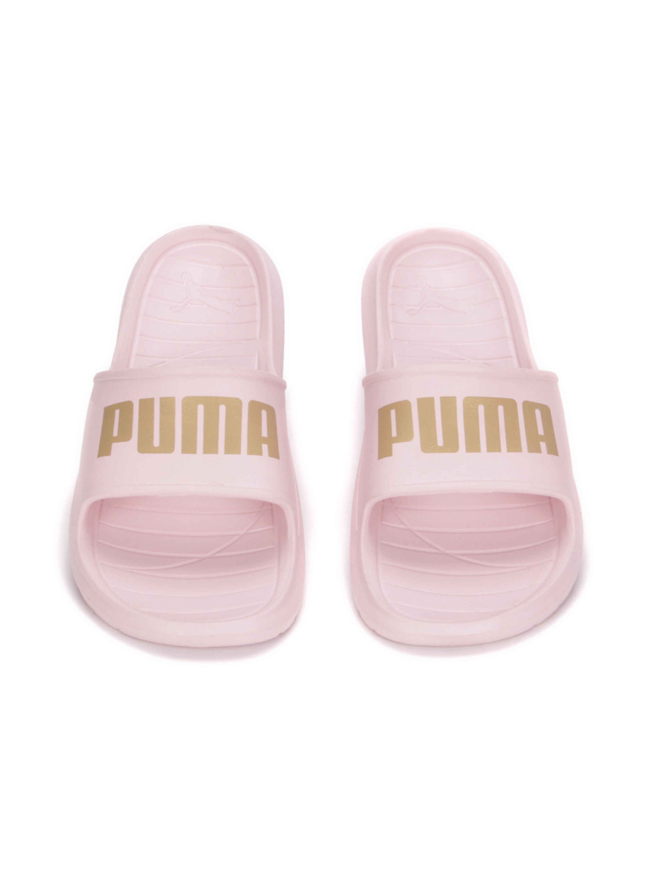 Шльопанці PUMA Divecat V2 Lite модель 374823 Шльопанці PUMA Divecat V2 Lite модель 374823 Фото