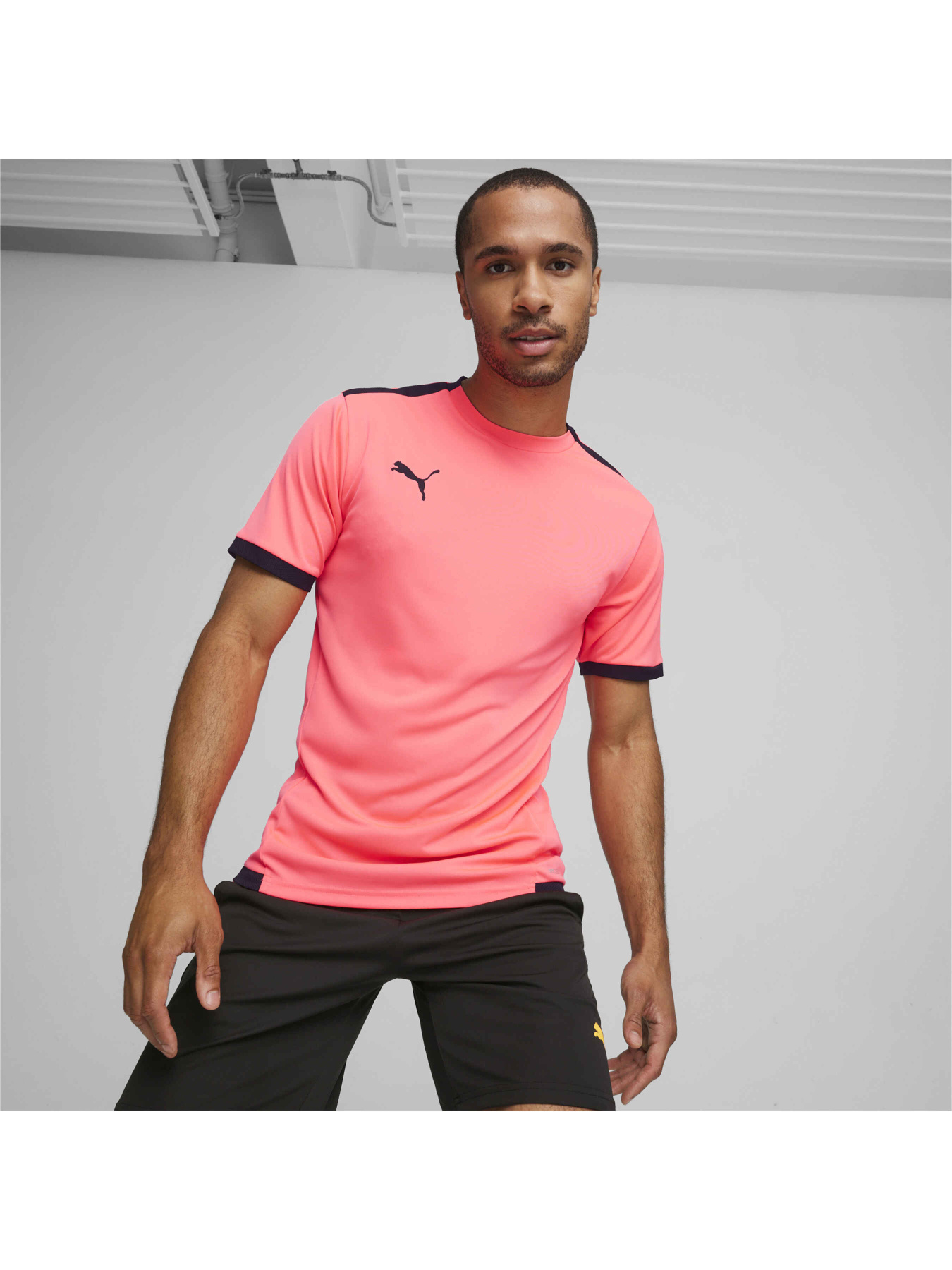 Футболка спортивная PUMA Teamliga Jersey модель 704917 Фото