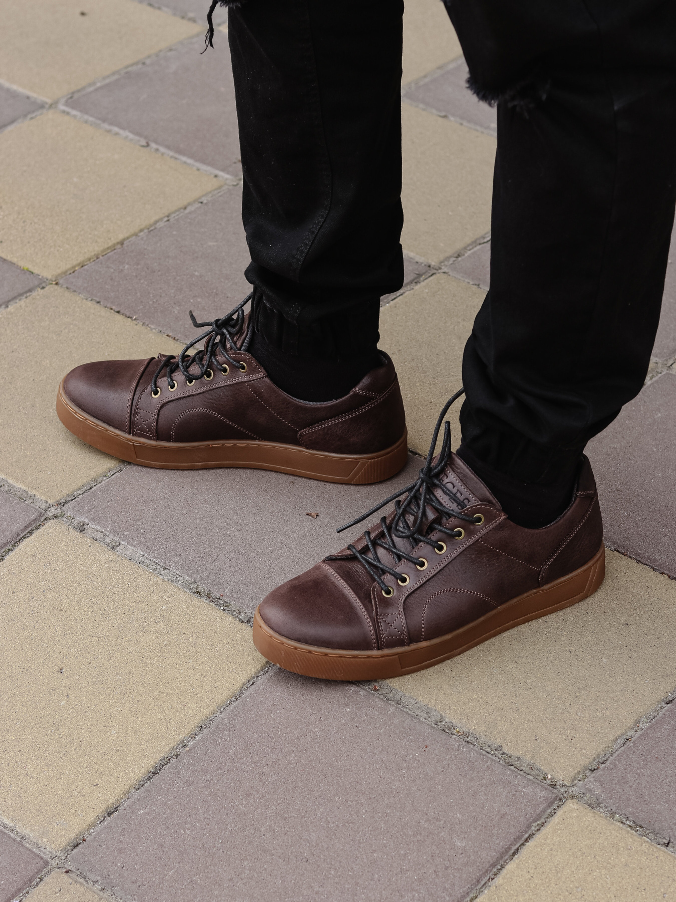 Кеды низкие Legessy модель WILSON_COFFEE Фото