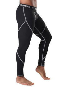 Тайтсы Berserk Sport Dynamic модель DynamicBlackPNTM Фото