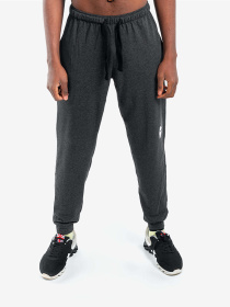 Джоггеры Berserk Sport Premium модель PremiumwithoutfleeceDarkGrayPNTM Фото