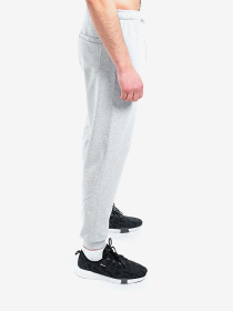 Джоггеры Berserk Sport модель PremiumwithoutfleeceGrayPNTM Фото