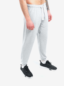 Джоггеры Berserk Sport модель PremiumwithoutfleeceGrayPNTM Фото