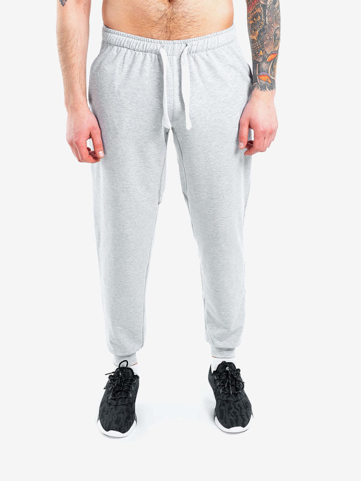 Джоггеры Berserk Sport модель PremiumwithoutfleeceGrayPNTM Фото