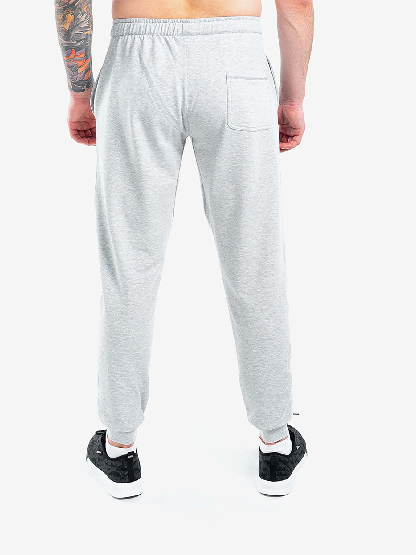 Джогери Berserk Sport модель PremiumwithoutfleeceGrayPNTM Фото