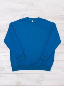 Свитшот Носи своє модель 8379-057-temno-bryuzovij Фото