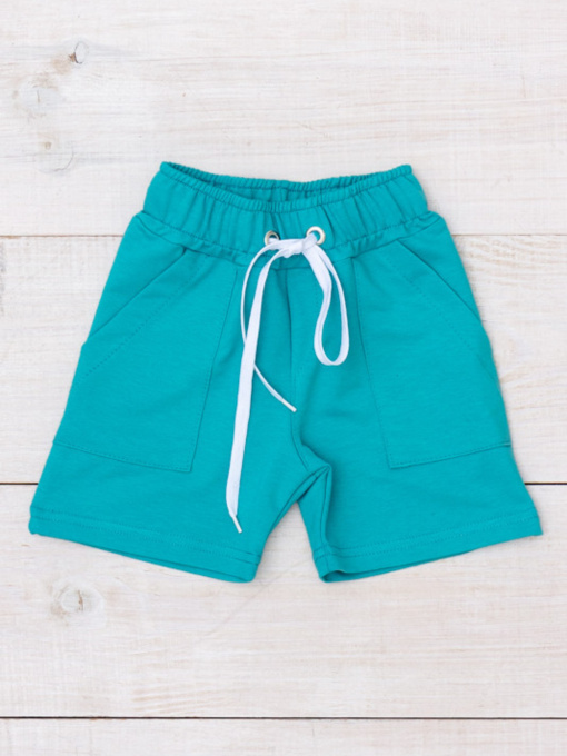 Шорты Носи своє модель 6377-057-bryuzovij-nefrit Фото