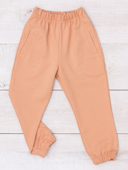 Джоггеры Носи своє модель 6060-057-5-migdalx Фото