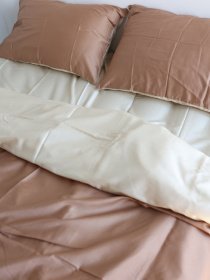 Комплект постельного белья с ткани Сатин Карамельно-бежевый цвет BedclozZzes модель 12558 Фото