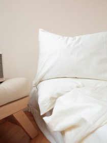 Комплект постельного белья с ткани Сатин молочный цвет BedclozZzes модель 15709 Фото