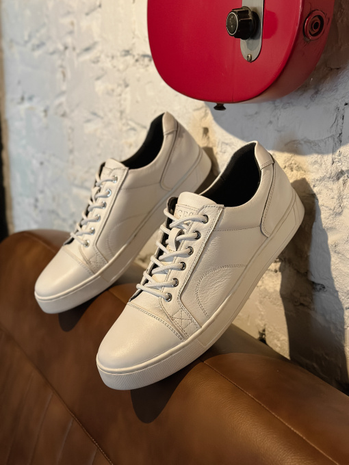 Кеди низькі Legessy модель WILSON_WHITE Фото