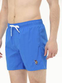 Шорты для плавания US Polo модель USPAINT.1564195.VR045 Фото