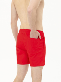 Шорты для плавания US Polo модель USPAINT.1564195.VR030 Фото