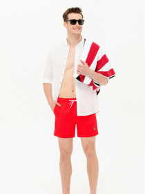 Шорты для плавания US Polo модель USPAINT.1564195.VR030 Фото